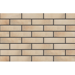 PŁYTKA ELEWACYJNA RETRO BRICK SALT 24,5x6,5 OPAKOWANIE 0,6m2 - 38sztuk